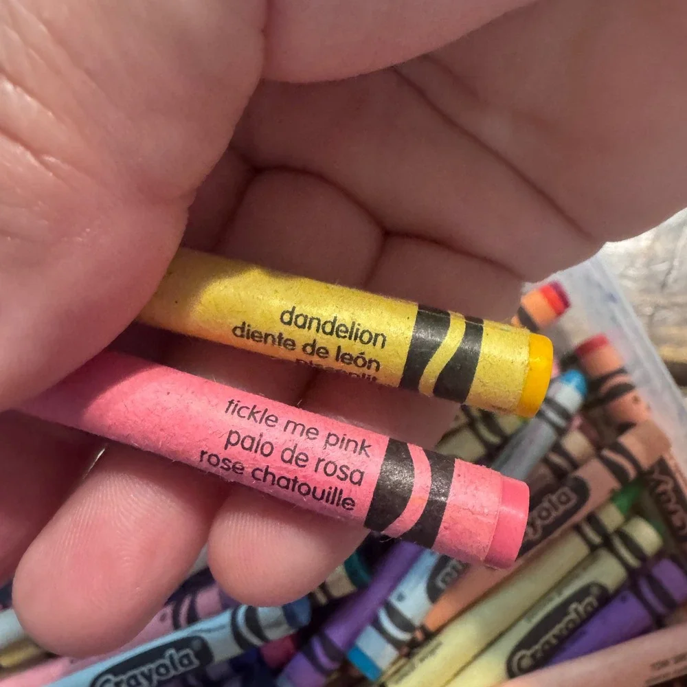 Crayola Crayons Lot of Mixed Colors Tickeled Pink Dandelion and plastic case